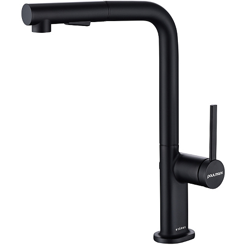 Смеситель для кухни Paulmark NEO антрацит Ne214419-AN Смеситель для кухни Paulmark NEO антрацит Ne214419-AN