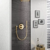 Верхний душ GROHE Rainshower с кронштейном, холодный рассвет глянец (26066GL0) Верхний душ GROHE Rainshower с кронштейном, холодный рассвет глянец (26066GL0)