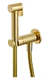 Гигиенический душ Remer X Style N64WDO, золото глянцевое Гигиенический душ Remer X Style N64WDO, золото глянцевое