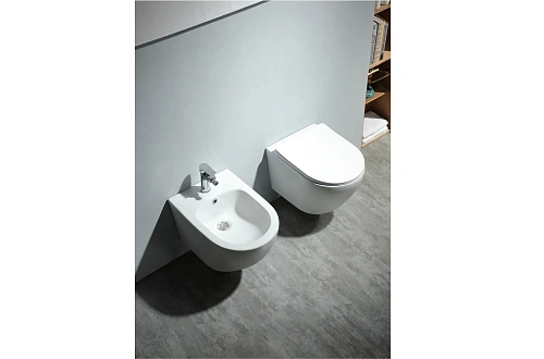 Унитаз подвесной Aquatek ЕВРОПА AQ1900T-00, 490x360x320 мм, смыв TORNADO тонкое сиденье микролифт Унитаз подвесной Aquatek ЕВРОПА AQ1900T-00, 490x360x320 мм, смыв TORNADO тонкое сиденье микролифт