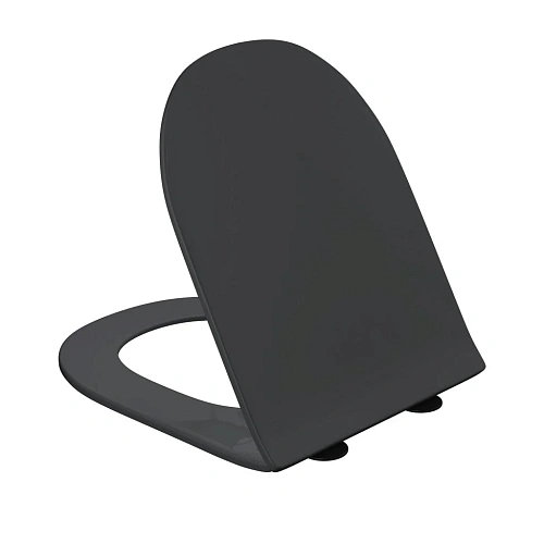 Крышка-сиденье GROSSMAN 4455BMS тонкое, с крепежом 49GR55BMS Крышка-сиденье GROSSMAN 4455BMS тонкое, с крепежом 49GR55BMS