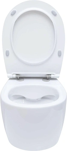 Комплект унитаза Allen Brau Fantasy 4.11004.20/8.9466.0.000.000.1 (00316504) с инсталляцией, белый глянец Комплект унитаза Allen Brau Fantasy 4.11004.20/8.9466.0.000.000.1 (00316504) с инсталляцией, белый глянец