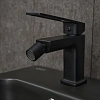 Смеситель для биде Gid Niagara L057-BM-B L057BMB черный матовый Смеситель для биде Gid Niagara L057-BM-B L057BMB черный матовый
