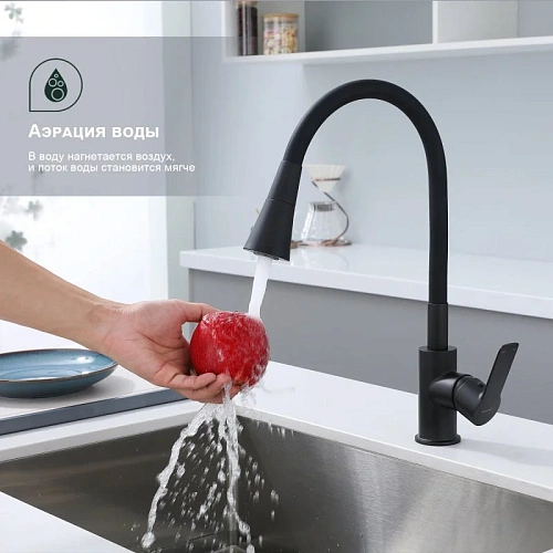 Смеситель для кухни Splenka S06.43.06 с гибким изливом, черный Смеситель для кухни Splenka S06.43.06 с гибким изливом, черный