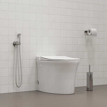 Гигиенический душ IDDIS 005BCR0i08 матовый хром Гигиенический душ IDDIS 005BCR0i08 матовый хром