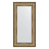 Зеркало в багетной раме Evoform Exclusive BY 3503 60 x 120 см, виньетка антична бронза