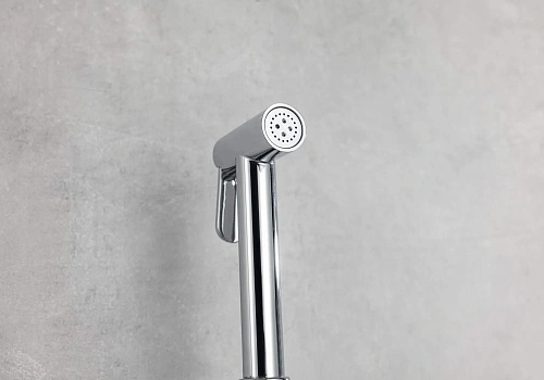 Гигиенический душ Aquatek ВЕГА AQ1019CR хром Гигиенический душ Aquatek ВЕГА AQ1019CR хром