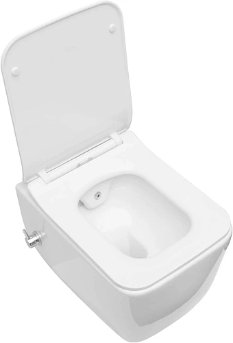 Унитаз подвесной Allen Brau Liberty 4.33009.20 с крышкой, белый Унитаз подвесной Allen Brau Liberty 4.33009.20 с крышкой, белый