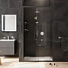 Душевая дверь AM.PM Gem W90G-110-1-195BT 110х195, стекло прозрачное, профиль черный матовый Душевая дверь AM.PM Gem W90G-110-1-195BT 110х195, стекло прозрачное, профиль черный матовый