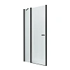 Душевая дверь NEW TRENDY NEW SOLEO BLACK одинарные 100x195 D-0242A (черный)