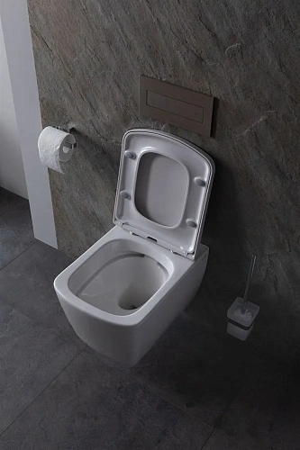 Унитаз подвесной Allen Brau Liberty 4.33004.20 без сиденья Унитаз подвесной Allen Brau Liberty 4.33004.20 без сиденья