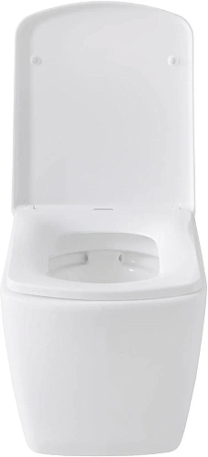 Комплект унитаза Allen Brau Liberty 4.33004.20/8.9466.0.000.000.1 (00316507) с инсталляцией, белый глянец Комплект унитаза Allen Brau Liberty 4.33004.20/8.9466.0.000.000.1 (00316507) с инсталляцией, белый глянец