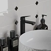 Смеситель для раковины Paini Bari RTYO205LL высокий, черный Смеситель для раковины Paini Bari RTYO205LL высокий, черный