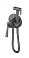Гигиенический душ Wonzon & Woghand темный графит (WW-88829008-BGM) Гигиенический душ Wonzon & Woghand темный графит (WW-88829008-BGM)