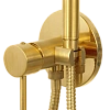 Гигиенический душ Remer X Style X65WBG, золото брашированное Гигиенический душ Remer X Style X65WBG, золото брашированное