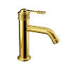 Смеситель для раковины Remer Atelier AL12DO, золото глянцевое