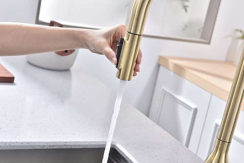 Смеситель для кухни Paulmark UNIVERSAL светлое золото Un213880-LG Смеситель для кухни Paulmark UNIVERSAL светлое золото Un213880-LG