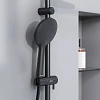 Душевая система Damixa Jupiter 977770300 черный Душевая система Damixa Jupiter 977770300 черный