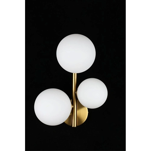 Светильник настенный (Бра) Aployt Letizia APL.314.01.03 Светильник настенный (Бра) Aployt Letizia APL.314.01.03