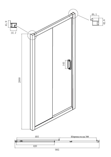 Душевая дверь Ambassador Forsa 17021116AX (1000x2000) Душевая дверь Ambassador Forsa 17021116AX (1000x2000)