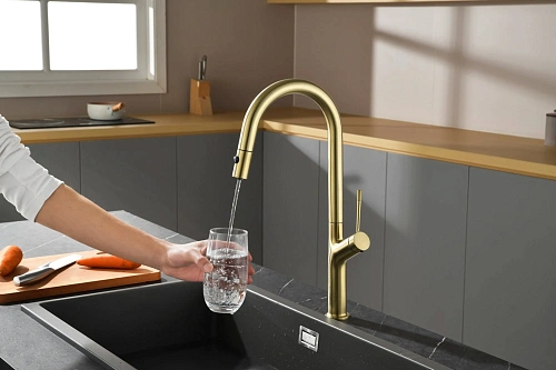 Смеситель для кухни AQUAme Cucina AQM9905BG с выдвижным изливом, с подключением к фильтру с питьевой водой, золото шлифованное Смеситель для кухни AQUAme Cucina AQM9905BG с выдвижным изливом, с подключением к фильтру с питьевой водой, золото шлифованное