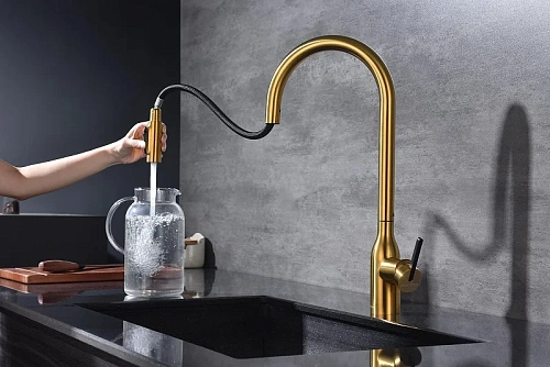 Смеситель для кухни Paulmark Universal брашированное золото Un213880-BG Смеситель для кухни Paulmark Universal брашированное золото Un213880-BG