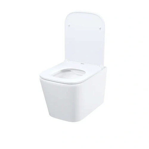 Унитаз подвесной IDDIS Bild (BILRNSEi25) с сиденьем безободковый Унитаз подвесной IDDIS Bild (BILRNSEi25) с сиденьем безободковый