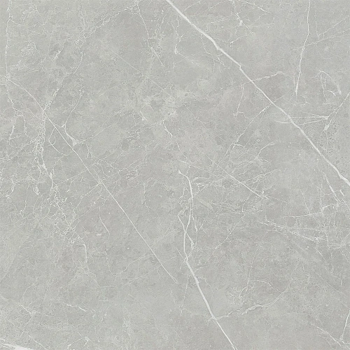 Керамогранит NT Ceramic Pietra NTT1101 PT6NTT1101P 60x60 Керамогранит NT Ceramic Pietra NTT1101 PT6NTT1101P 60x60