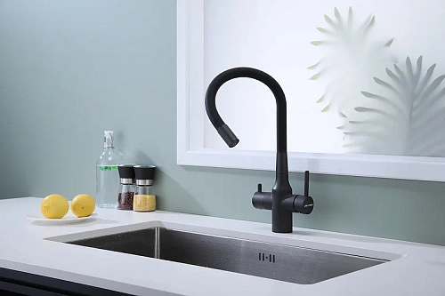 Смеситель для кухни Paulmark SALIX антрацит Sa213419-AN Смеситель для кухни Paulmark SALIX антрацит Sa213419-AN