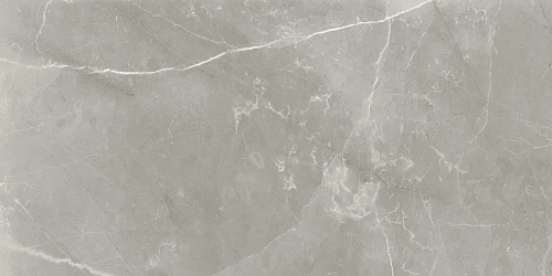 Керамогранит Neodom Supreme Fior Di Bosco Polished 60x120 N70005 Керамогранит Neodom Supreme Fior Di Bosco Polished 60x120 N70005