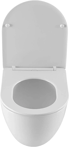 Комплект унитаза Allen Brau Priority 306274+348381 с инсталляцией Комплект унитаза Allen Brau Priority 306274+348381 с инсталляцией