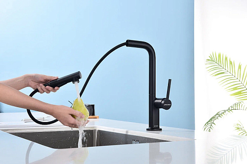 Смеситель для кухни Paulmark NEO антрацит Ne214419-AN Смеситель для кухни Paulmark NEO антрацит Ne214419-AN