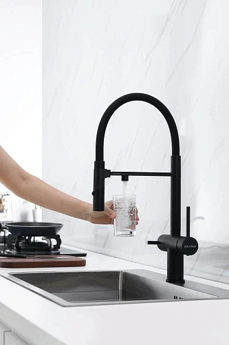 Смеситель для кухни Paulmark Gravity антрацит Gr213888-AN Смеситель для кухни Paulmark Gravity антрацит Gr213888-AN