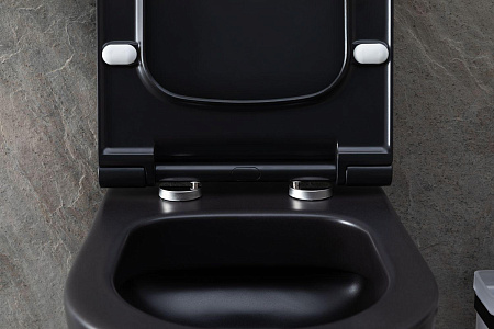 Унитаз подвесной Allen Brau Priority 4.31001.31 с крышкой, черный матовый