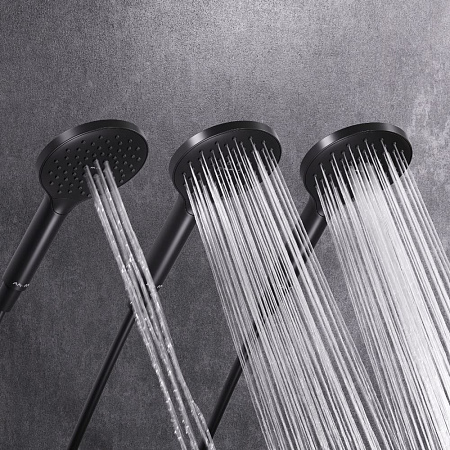 Душевая лейка AM.PM Like F0280022 120 мм, черный