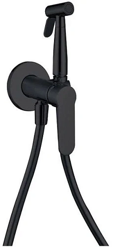 Гигиенический душ Aquanet Passion AF300-52B Гигиенический душ Aquanet Passion AF300-52B