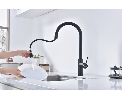 Смеситель для кухни Paulmark Galant антрацит Ga213077-AN Смеситель для кухни Paulmark Galant антрацит Ga213077-AN