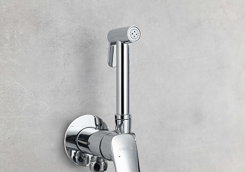 Гигиенический душ Aquatek ВЕГА AQ1019CR хром Гигиенический душ Aquatek ВЕГА AQ1019CR хром