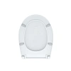 Крышка-сиденье IDDIS Soft Close 004 (004PPS3i31) Крышка-сиденье IDDIS Soft Close 004 (004PPS3i31)