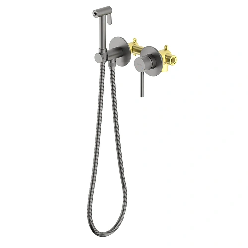 Гигиенический душ Aquatek Европа AQ1319BGM черный хром шлифованный, встраиваемый Гигиенический душ Aquatek Европа AQ1319BGM черный хром шлифованный, встраиваемый