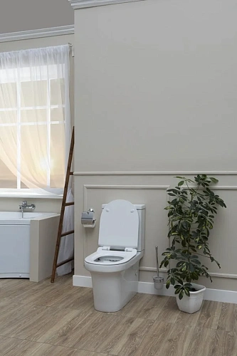 Чаша напольного унитаза Aquanet Rimless Nova-C1 BL-101N-TPT-A NOVA-C1 с сиденьем Чаша напольного унитаза Aquanet Rimless Nova-C1 BL-101N-TPT-A NOVA-C1 с сиденьем