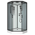 Душевая кабина Niagara Premium NG-6902-01D BLACK (1000х1000х2200) низкий поддон (16 см) стекло тонированное 69020134DBLACK