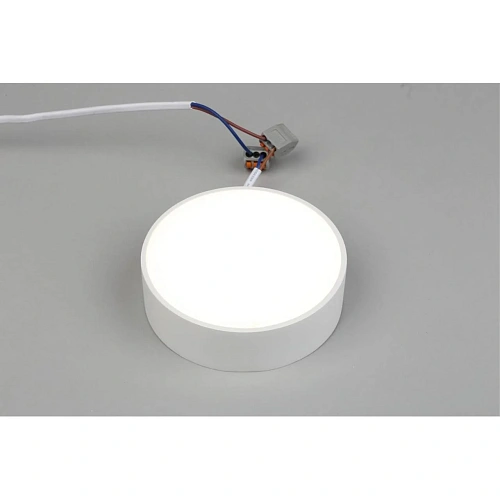 Светильник настенно-потолочный Aployt Evon APL.0114.09.12 Светильник настенно-потолочный Aployt Evon APL.0114.09.12