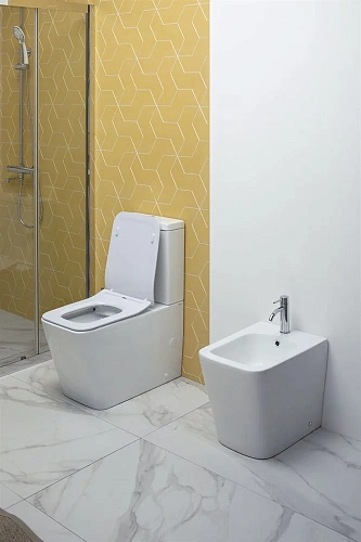 Чаша напольного унитаза Aquanet Rimless Tavr-C1 BL-103N-TPT TAVR-C1 с сиденьем Чаша напольного унитаза Aquanet Rimless Tavr-C1 BL-103N-TPT TAVR-C1 с сиденьем