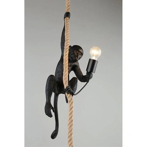 Светильник подвесной Aployt Magali APL.309.16.01 Светильник подвесной Aployt Magali APL.309.16.01