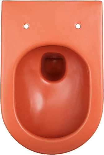 Унитаз подвесной Allen Brau Reality 4.32015.TE сиденье с микролифт терракот Унитаз подвесной Allen Brau Reality 4.32015.TE сиденье с микролифт терракот