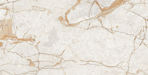 Керамогранит Neodom Ambassador Rosalia Glossy 60x120 CV20196 Керамогранит Neodom Ambassador Rosalia Glossy 60x120 CV20196