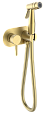 Гигиенический душ Raglo R20.52.03 встраиваемый, золотой сатин