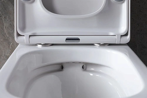 Унитаз подвесной Allen Brau Liberty 4.33004.20 без сиденья Унитаз подвесной Allen Brau Liberty 4.33004.20 без сиденья