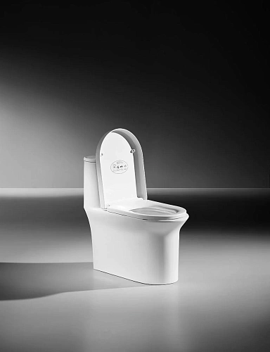 Унитаз напольный ARROW AB1802H белый без сиденья Унитаз напольный ARROW AB1802H белый без сиденья